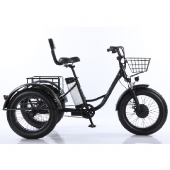 Three wheel fat tyre electric cargo tricycle for beach cruiser(ML-TR01)