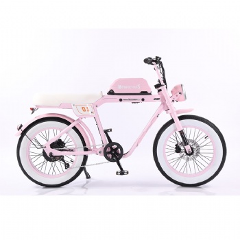 Retro Fat Tyre Off Road Electric Bike with 48V 15AH 25AH 35AH Lithium battery (EB-001)