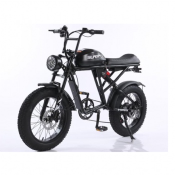 20-Inch Fat Tire Electric Bike with 400W Hub Motor and 48V 13AH/18AH/25AH/32AH Lithium Battery Hydraulic Disc Brakes for City Commute (EB-006)