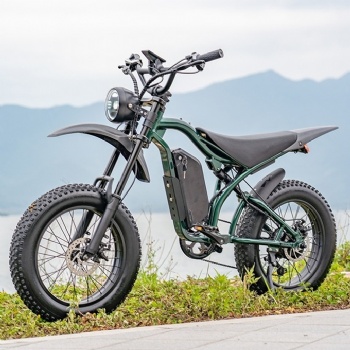 China A-ok New Designed Long Range Adult Off-road Full Suspension Electric Assist Fat Tire Mountain Bike (EB-016)